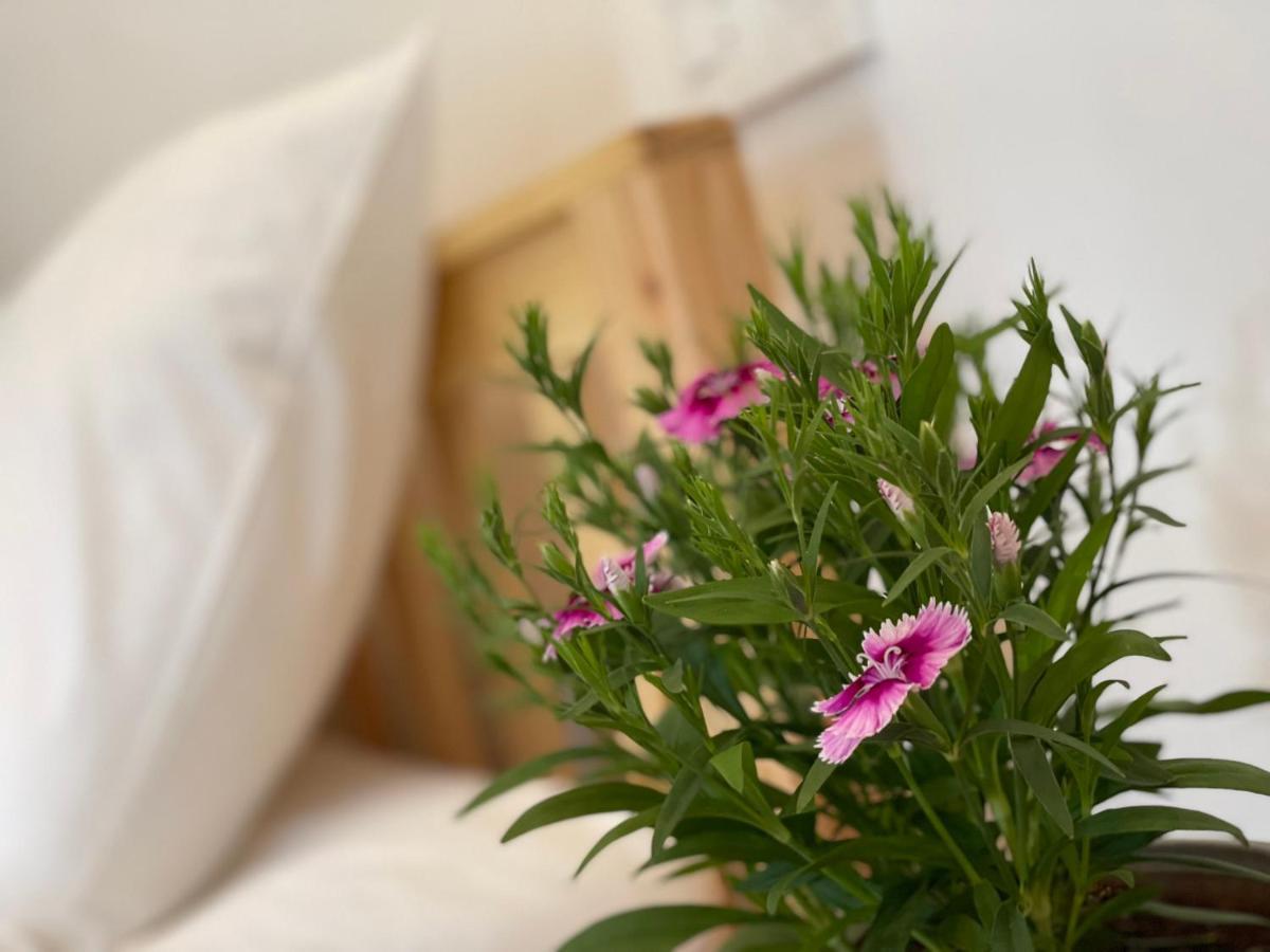 Pleiku Homestay Экстерьер фото